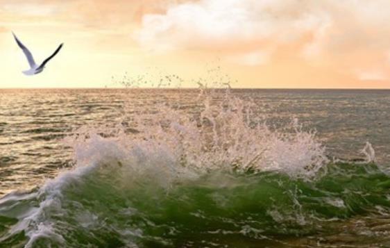 静下心来找回自己句子文案