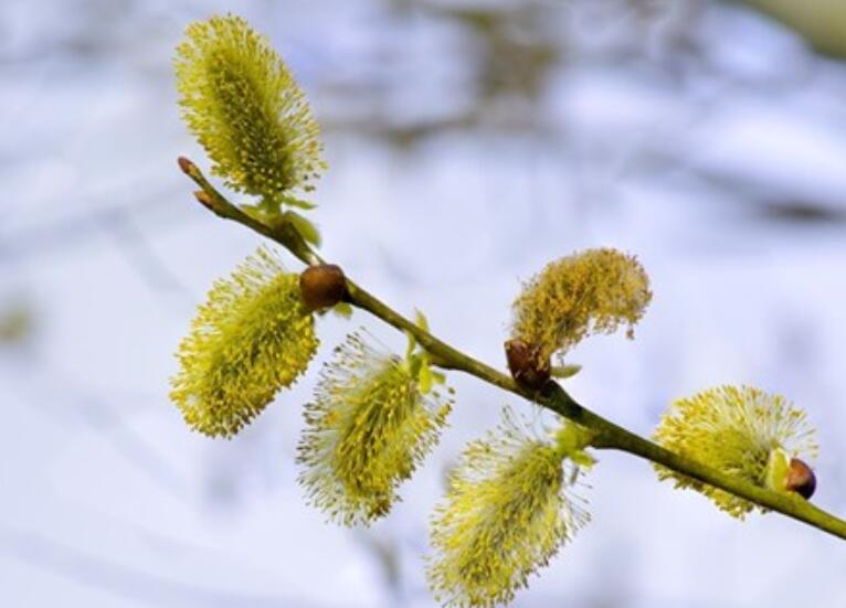 哭了发伤感的句子文案