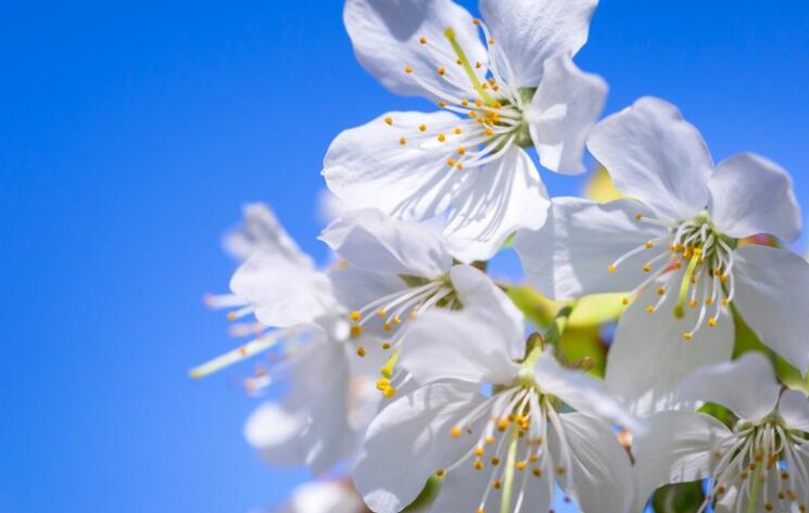 激励年轻人的短句