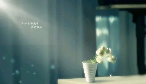 触碰心灵的话优美