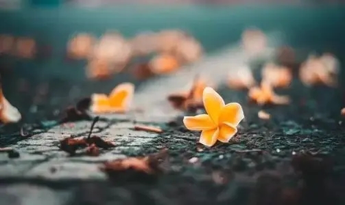 送给挑拨离间人的说说文案