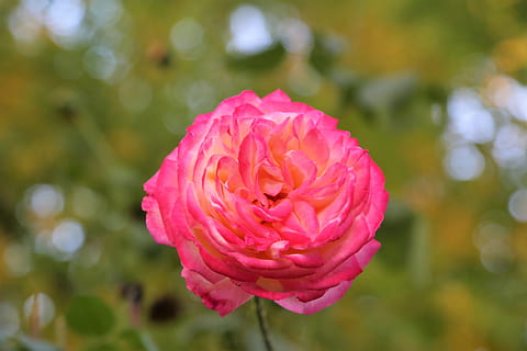 撩妹套路100句一问一答