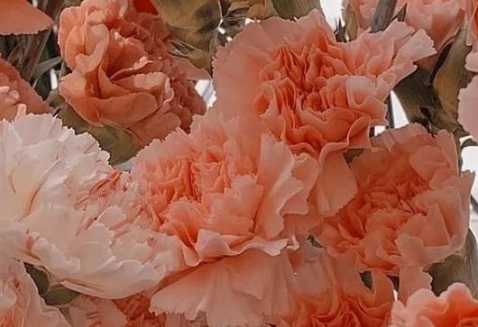 八个字的情感句子文案