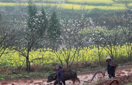 含有雨字的诗句文案