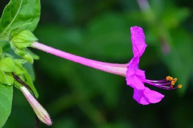 6字精辟短句励志