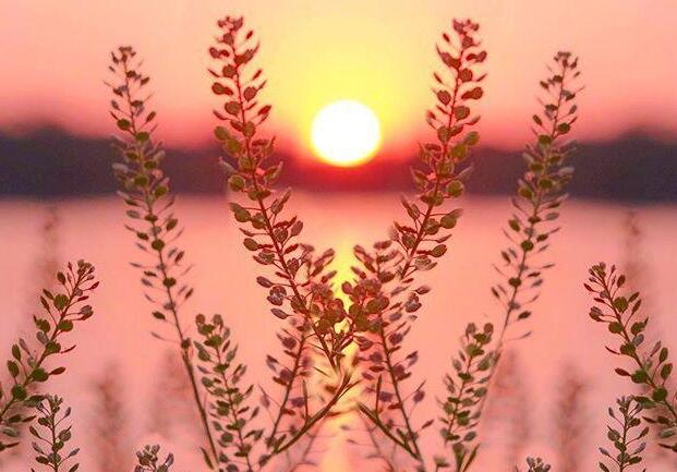 生活感悟经典短句子文案