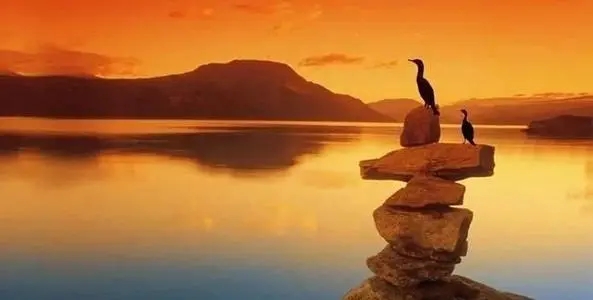 改变自己正能量的句子文案