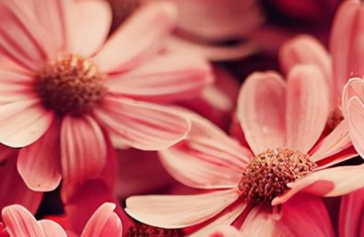 有意境的旅行句子文案简短