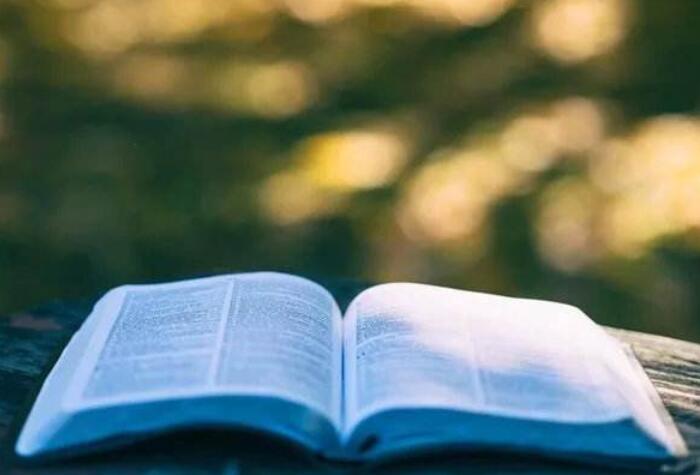 关于读书名言8字