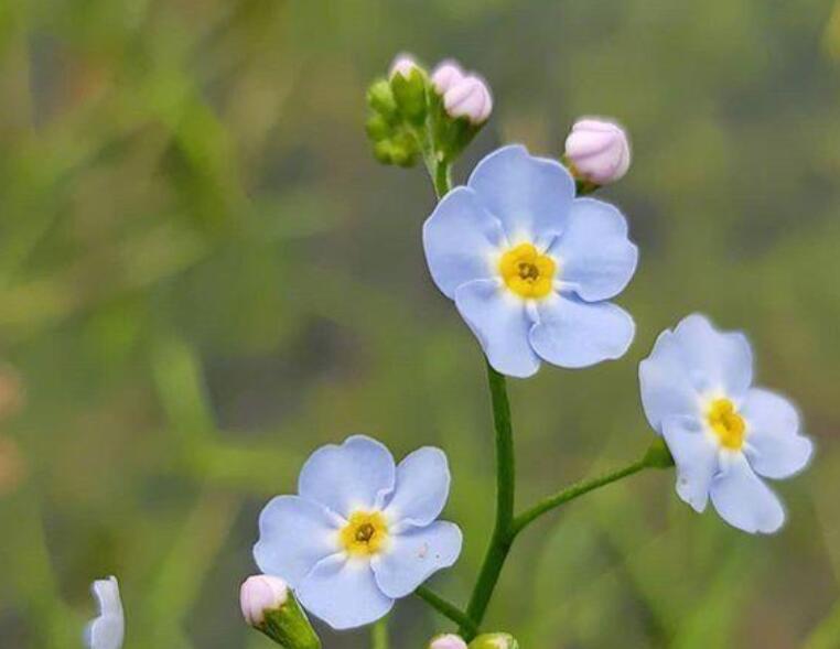 2024年晨语美好的句子文案