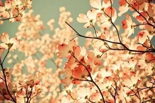 各种琐事心里烦的说说文案