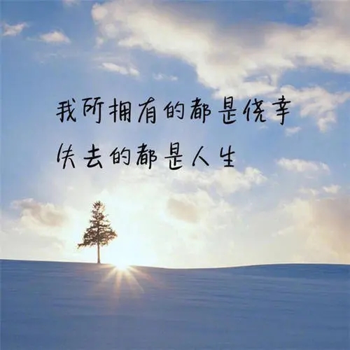 一段真挚的感情句子文案