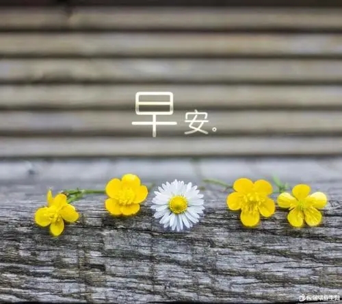 周六清晨早安励志问候语