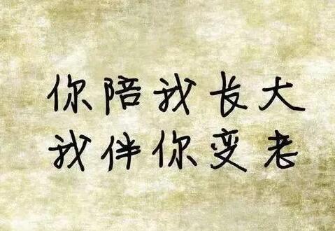 类似你陪我长大我陪你变老的句子文案