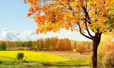 秋天的句子文案描写秋天的句子文案