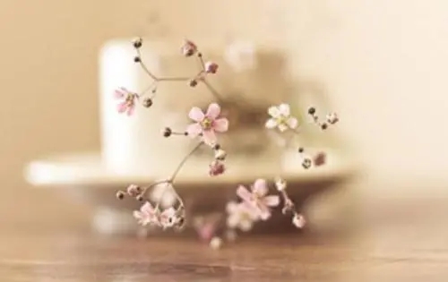 黑暗的三月的说说文案