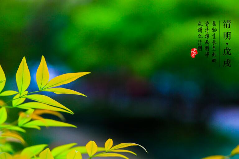 赞美春雷的诗词名句文案