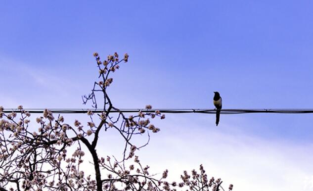 最经典的句子文案