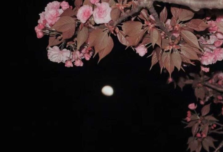 简单干净的八个字句子文案