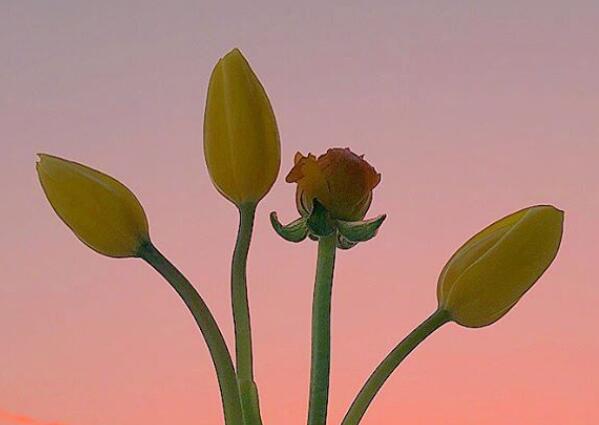 早安朋友圈说说文案