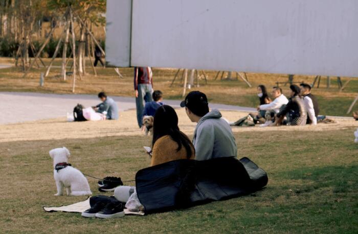 朋友圈发啥很受欢迎