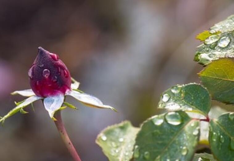 充满生活情调的句子文案