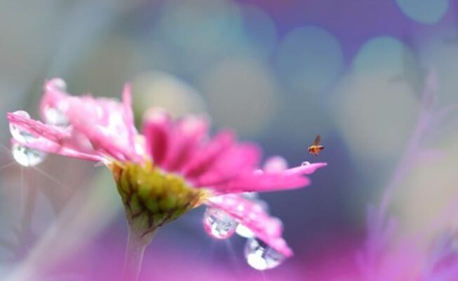 劝人失败后振作的话