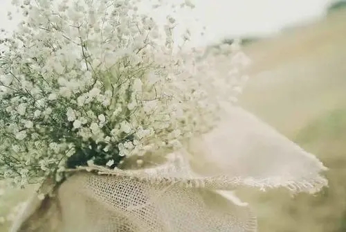 文艺句子文案较长