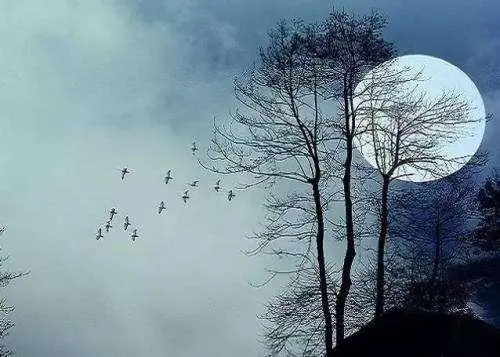 劝人入睡的诗句文案