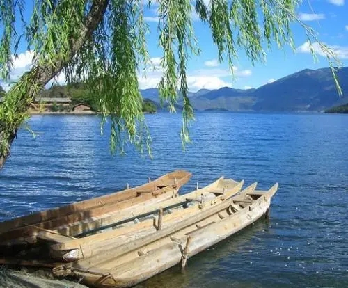 关于夏天的句子文案