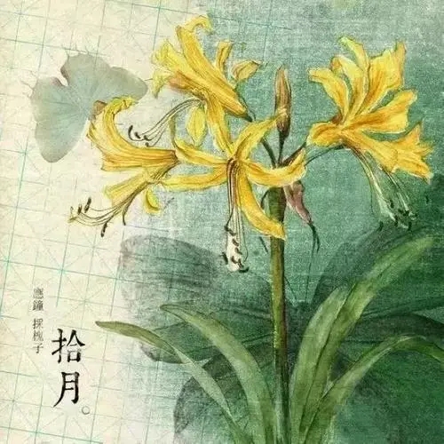 含有十二个月份的诗句文案