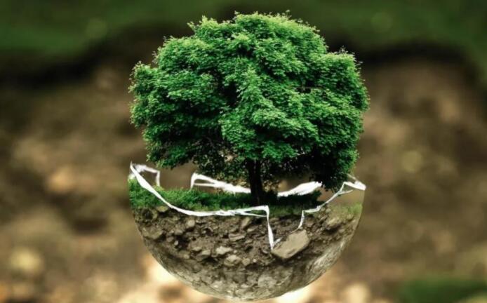 爱护地球的名言名句文案