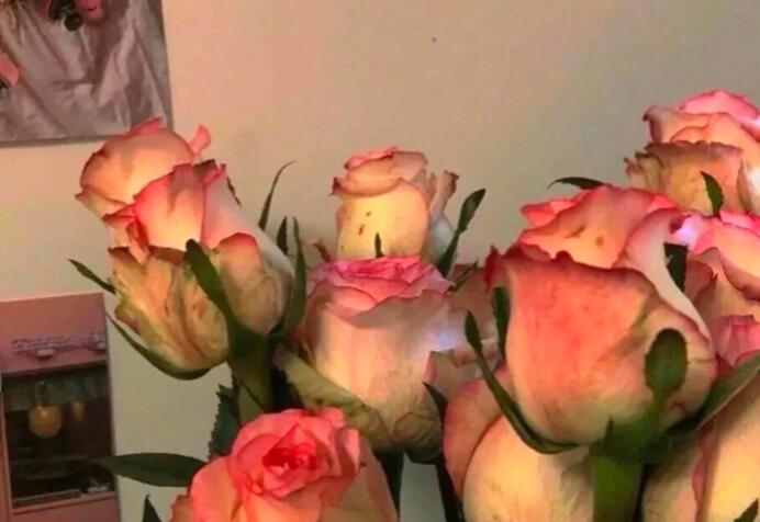 学生时代惊艳了整个青春的文案