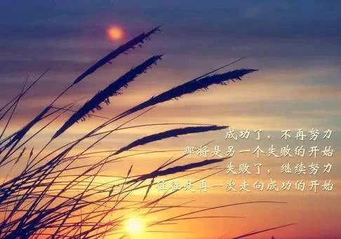 深夜还在奋斗的句子文案