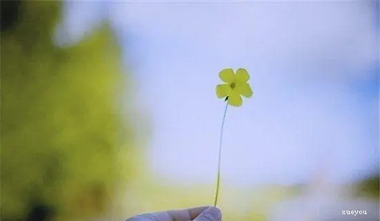 小清新的句子文案