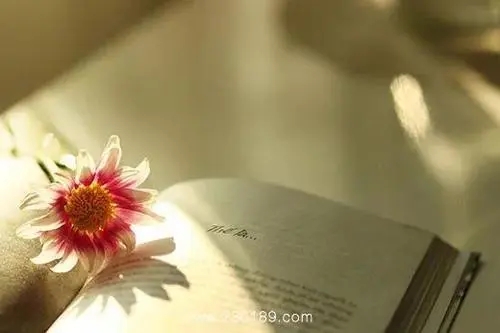 好句子文案发朋友圈短句