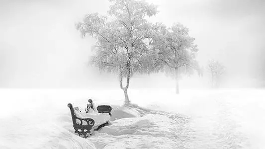 看到雪景的心情说说文案