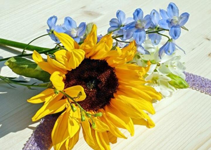 反思反省的名言警句