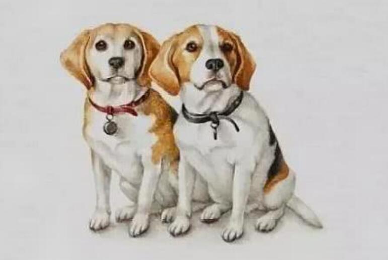 冷暖的句子文案