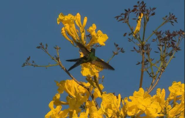 十二个月文艺的句子文案