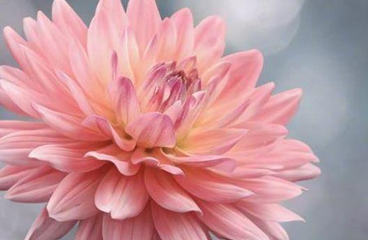 2021越努力越幸运句子文案