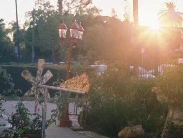 不懂珍惜的短语