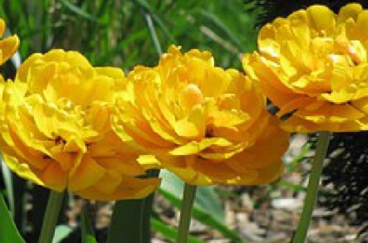 励志人生的经典句子文案