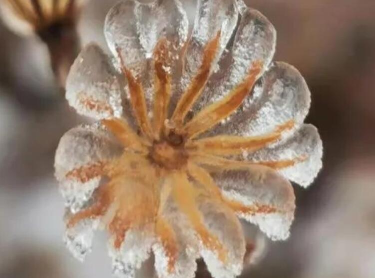 给朋友亲密早安的祝福语