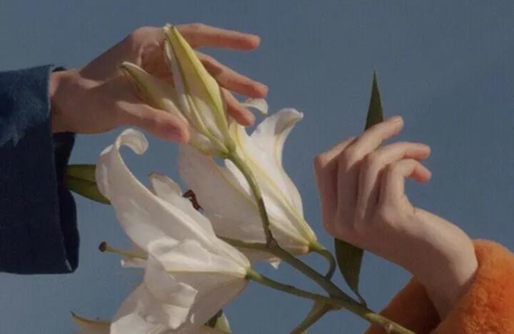 的神仙句子文案