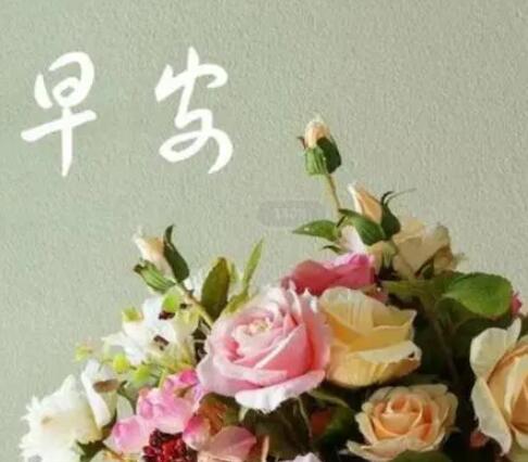 男女恋爱早上问候语