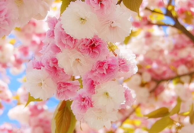 感情伤感的简短句子文案