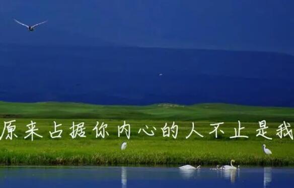 感情干净纯洁的句子文案