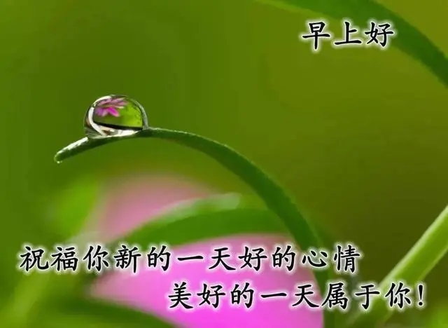 最漂亮早安问候语图片