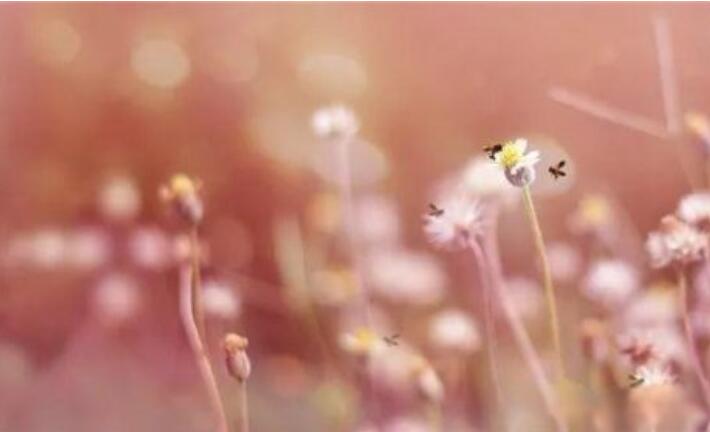 激励自己争气的句子文案